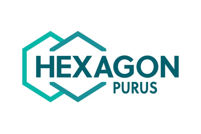 Logo-HexagonPurus