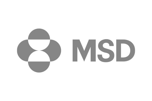 Logo-MSD-Grau