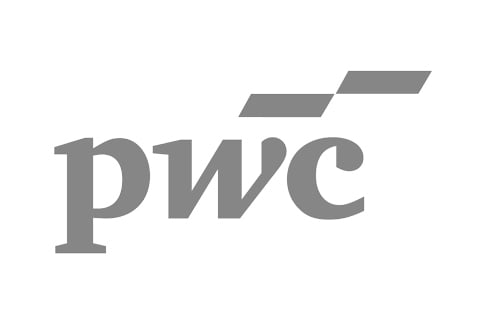 Logo-pwc-Grau