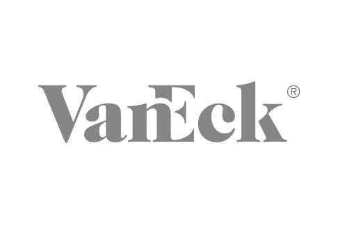 Logo-Vaneck-Grau