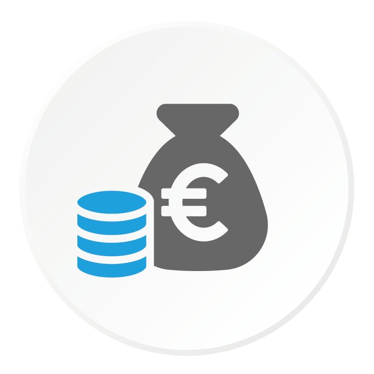 Icon-Budget